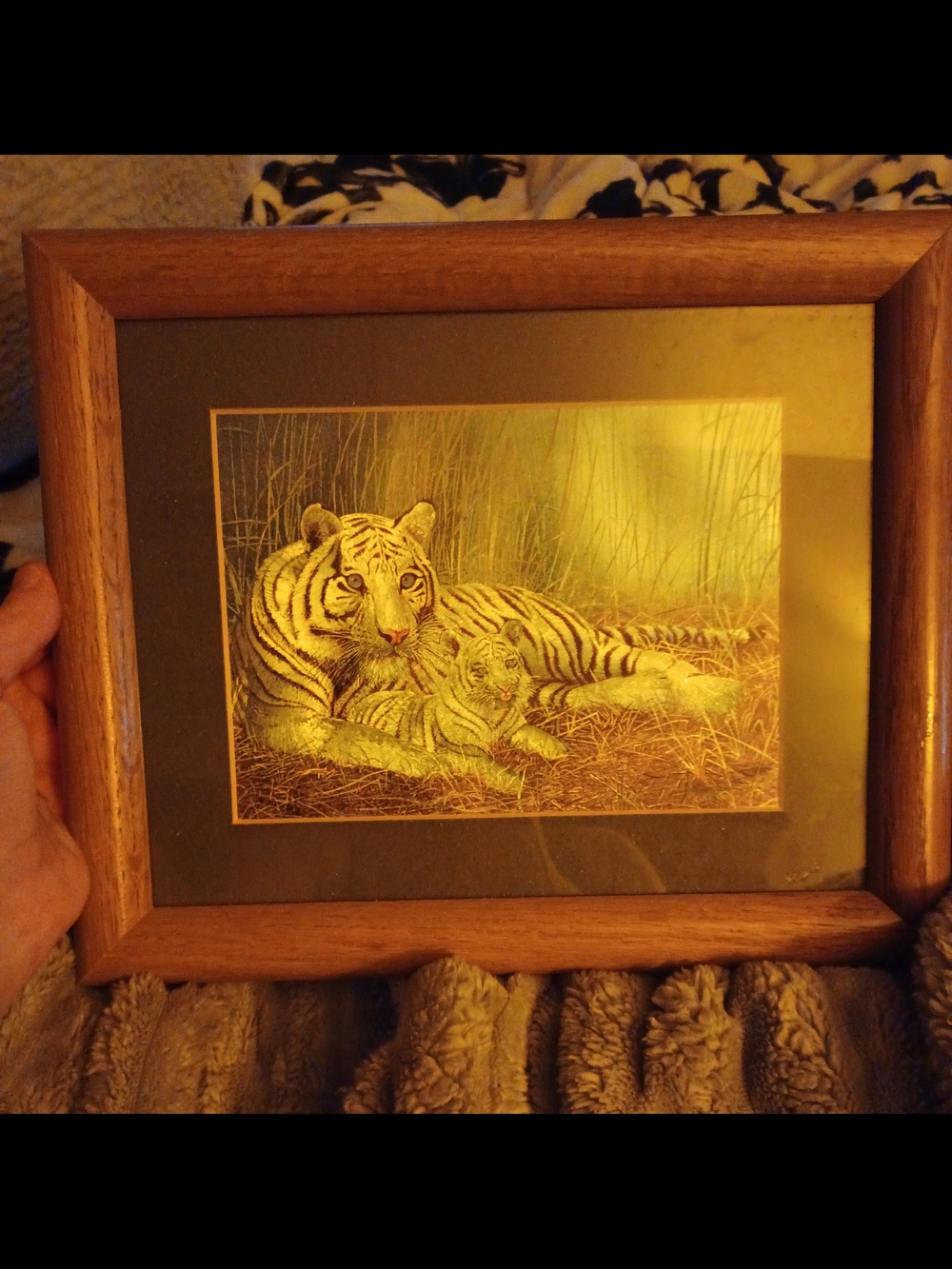 Framed Tiger Print Wall Art in Brown Frame